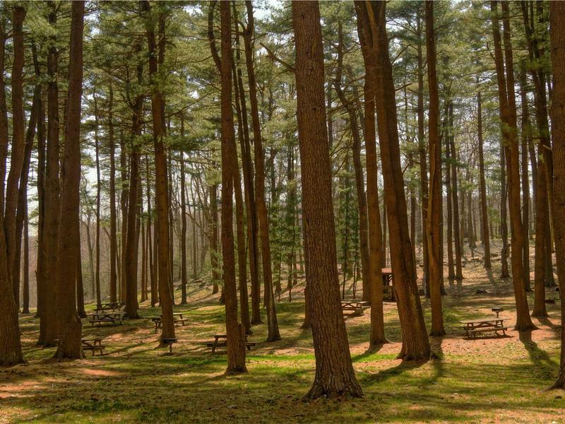 sudoku consecutive sudoku